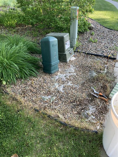 planting near electrical box